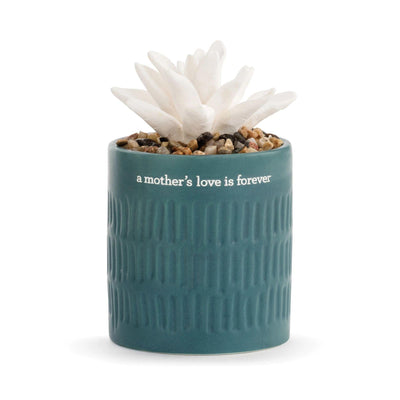 Succulent Oil Diffuser - Mothers Love by Demdaco - Enesco Gift Shop