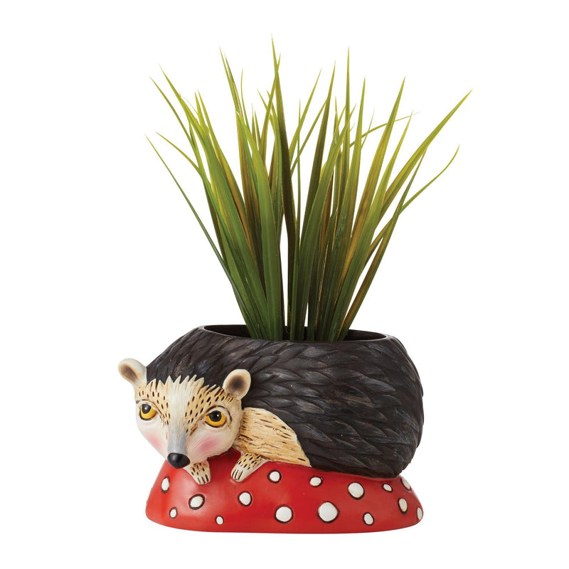 Hank the Hedgehog Baby Planter by Allen Designs - Enesco Gift Shop