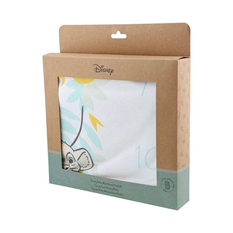 Disney Baby Milestone Blanket by Enchanting Disney - Enesco Gift Shop